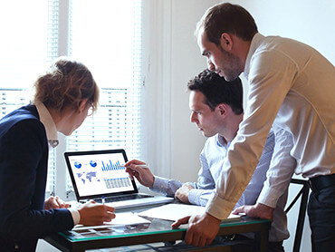 Bachelor of Economics  - BSc