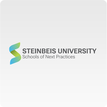 Steinbeis University