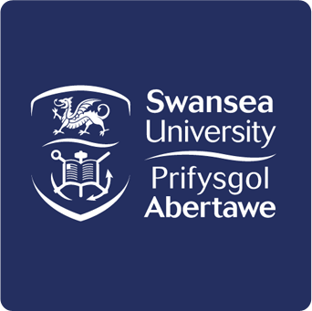 Swansea University (The College)